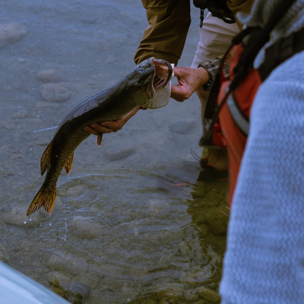 A man holding a fish in his hand