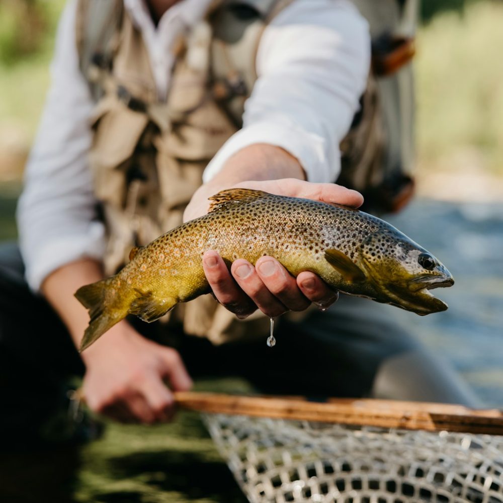 a man holding a brown fish in a net